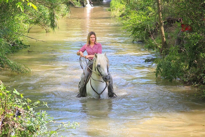 A person riding a white horse through a shallow, muddy river surrounded by greenery. 4