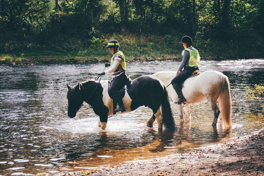 Two people riding horses through a shallow river surrounded by trees. 2