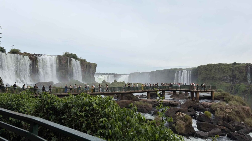 Picture 10 for Activity Bird Park & Iguassu Falls Private tour 3