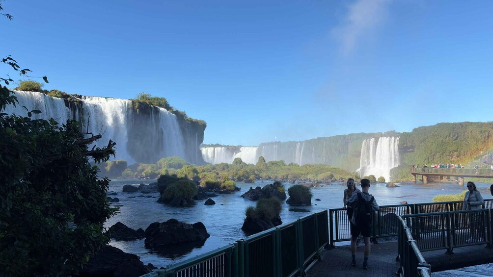 Picture 16 for Activity Bird Park & Iguassu Falls Private tour 5