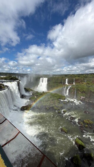 Picture 11 for Activity Bird Park & Iguassu Falls Private tour 4