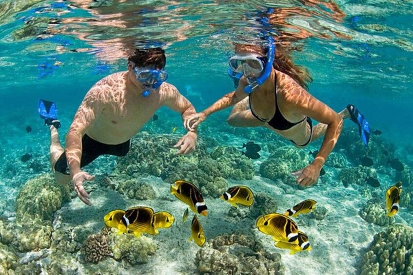 Two people snorkeling underwater with fish. 1