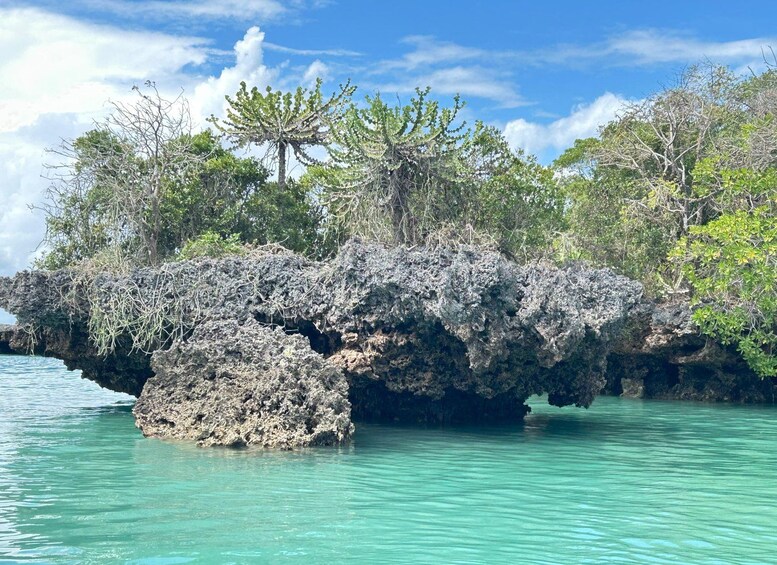 A rocky island with clear turquoise water, surrounded by lush greenery and trees. 5