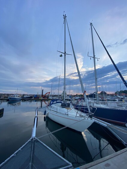 A marina with several sailboats docked, calm water, and a clear sky. 1