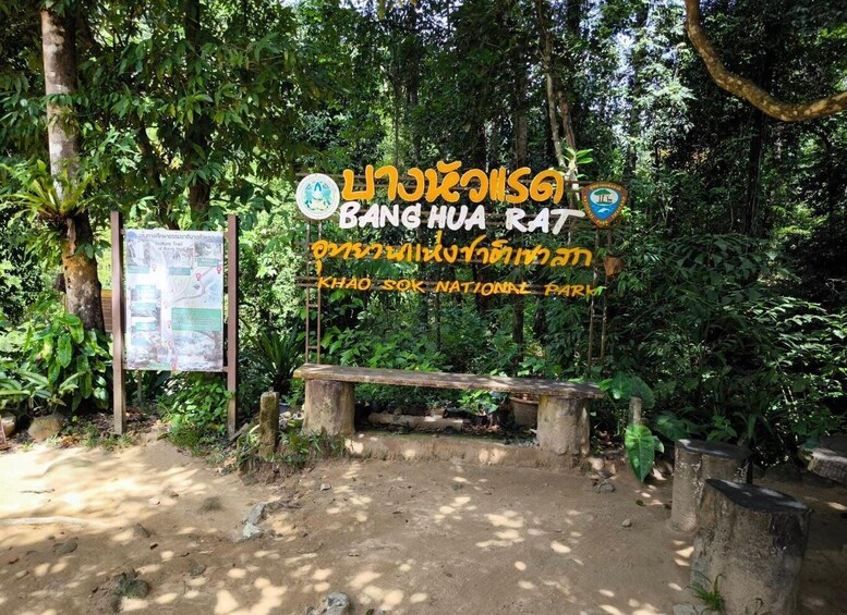 Picture 8 for Activity Khao Lak : Khao sok Jungle walk ,Bomboo rafting ,Cave Temple 3