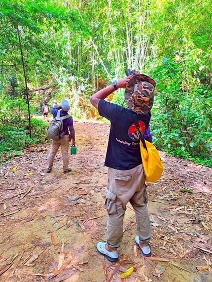 Picture 8 for Activity Khao Lak : Khao sok Jungle walk ,Bomboo rafting ,Cave Temple 5