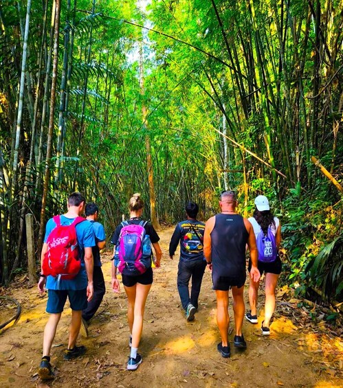 A group of hikers walking on a dirt path through a bamboo forest. 1