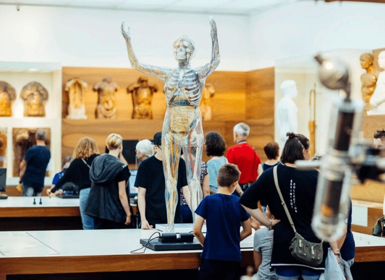 Picture 5 for Activity Dresden: German Hygiene Museum Admission Ticket 2