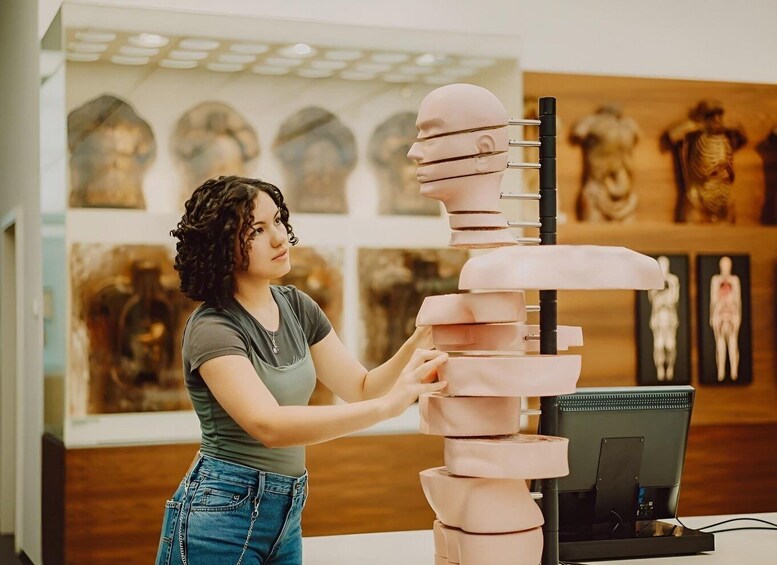 A person assembling a human figure model with a computer monitor nearby. 4