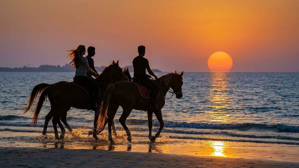 Two people riding horses on a beach at sunset. 3