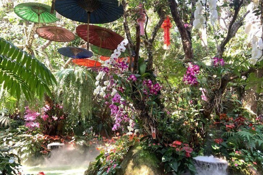 Un exuberante jardín con una cascada, sombrillas colgantes y orquídeas vibrantes. 5