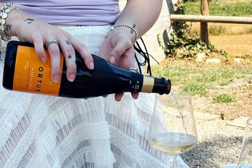 Private Montserrat Tour and Winery With Brunch From Barcelona 3