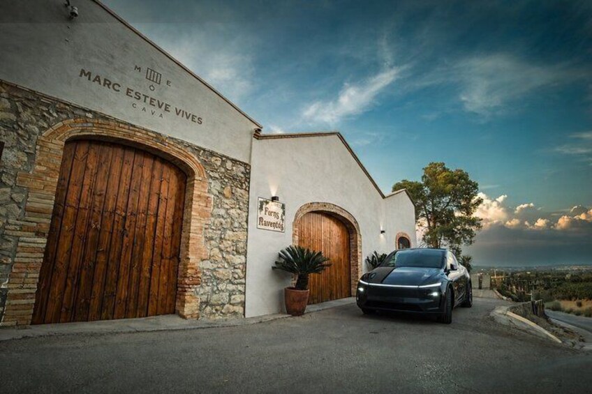 Private Montserrat Tour and Winery With Brunch From Barcelona 4