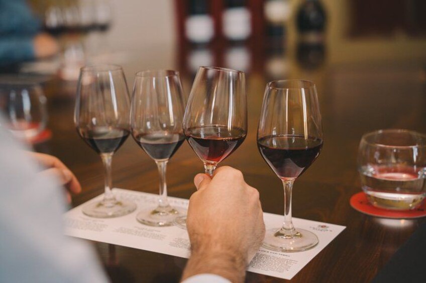 Taylor Estate Masterclasses Journey through Douro in Porto 2