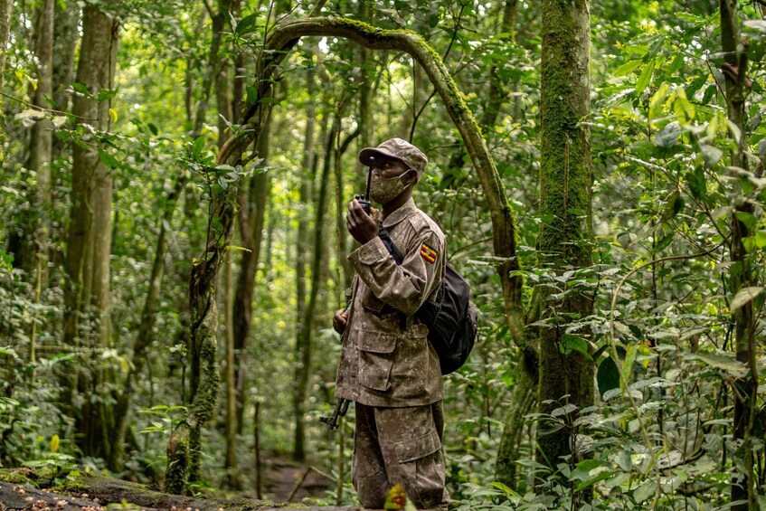 A person in military uniform standing in a dense forest with a backpack. 4