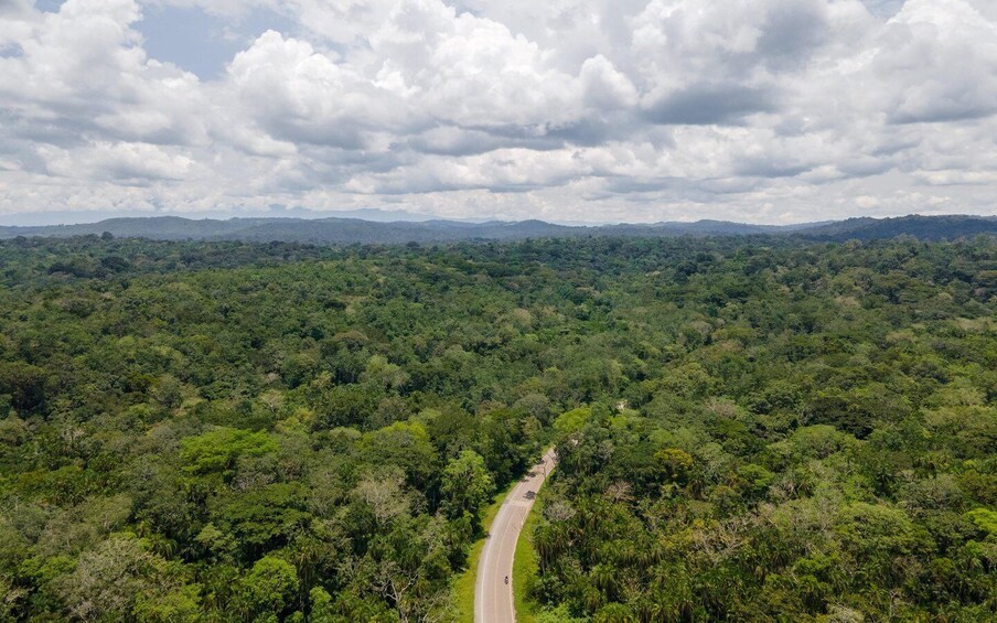 A winding road through a dense forest with a cloudy sky above. 1