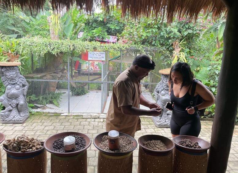 A man and a woman interacting with a display of coffee beans in terracotta pots. 3