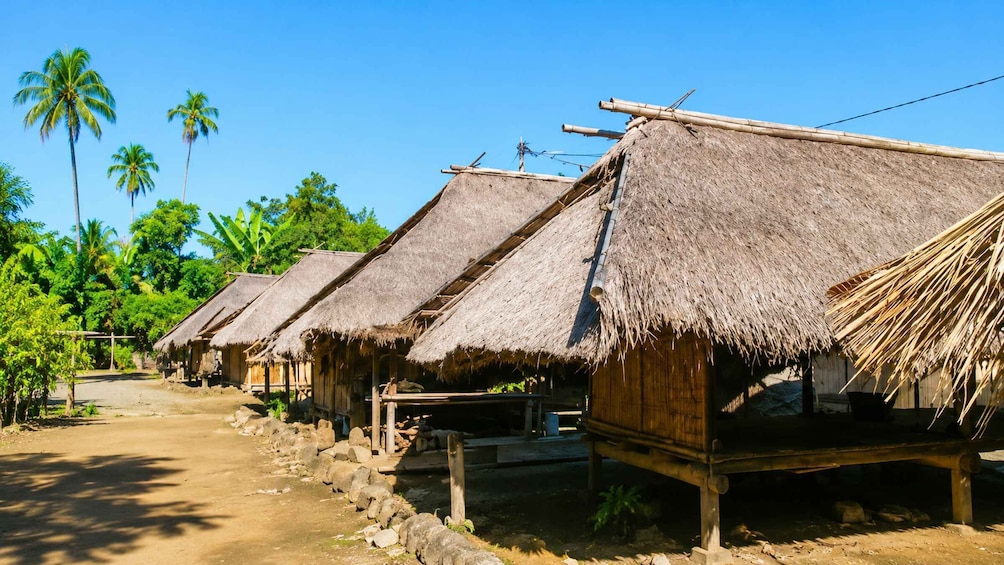 A row of thatched-roof huts in a rural setting. 4