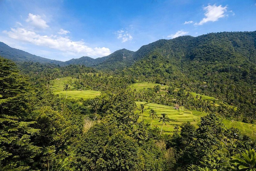 A lush green valley with terraced fields and dense forested hills. 4