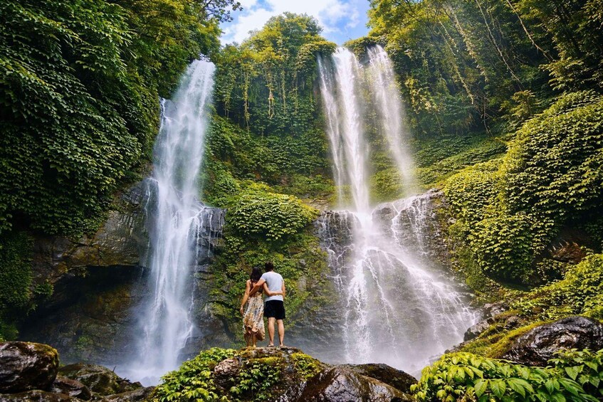 A waterfall with two streams, surrounded by lush greenery. 2