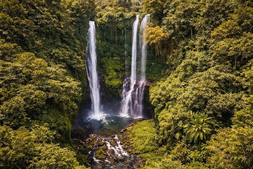 A waterfall surrounded by dense green forest. 3