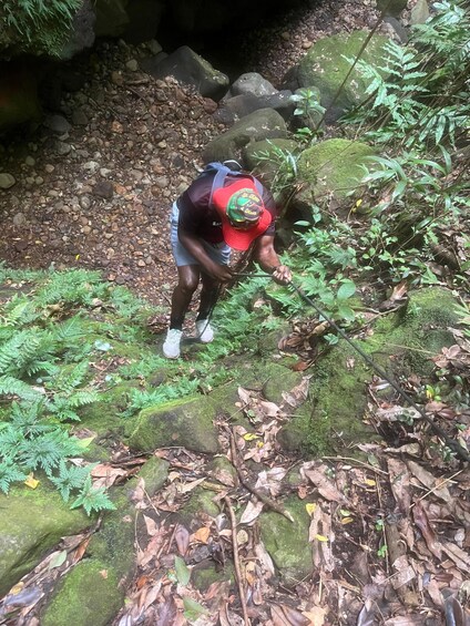 Picture 3 for Activity St Kitts: Bloody Point River Hike Petroglyphs+Bat Cave 2