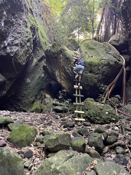 Picture 5 for Activity St Kitts: Bloody Point River Hike Petroglyphs+Bat Cave 3
