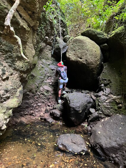 Picture 4 for Activity St Kitts: Bloody Point River Hike Petroglyphs+Bat Cave 5