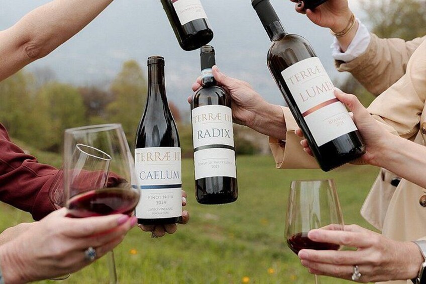 Bellagio: Terrae III Wine Tasting with Pickup & Charcuterie 4