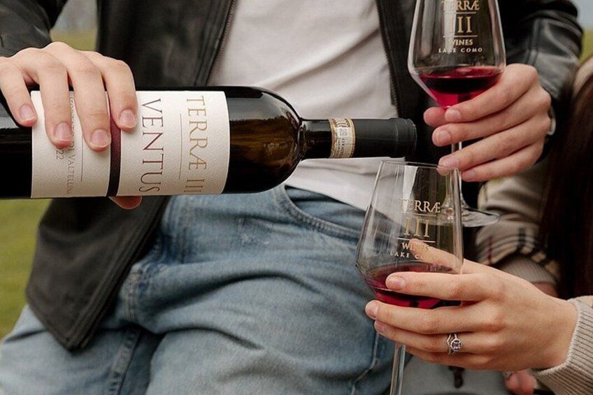 Bellagio: Terrae III Wine Tasting with Pickup & Charcuterie 1