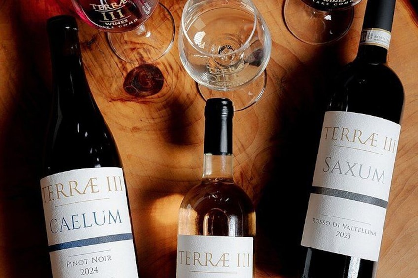 Bellagio: Terrae III Wine Tasting with Pickup & Charcuterie 3