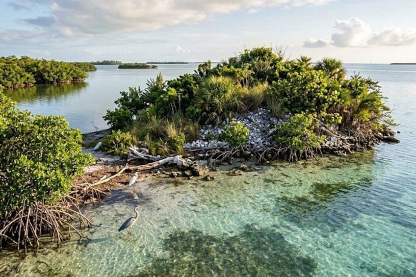 Discover Florida Keys: A Self-Guided Tour 3