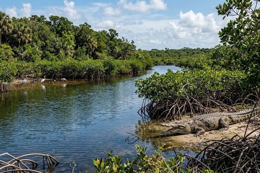 Discover Florida Keys: A Self-Guided Tour 2