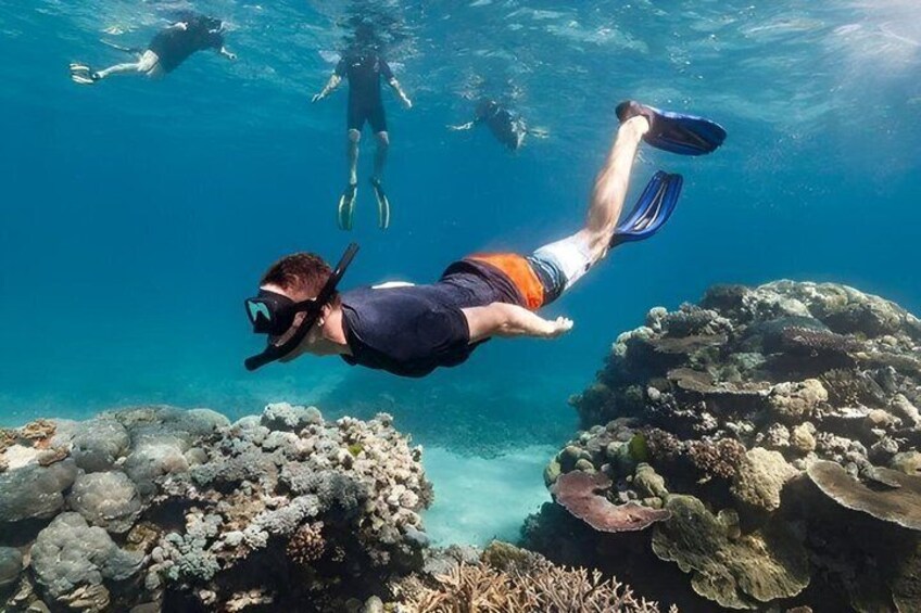 A diver swimming underwater with coral formations and other divers in the background. 3