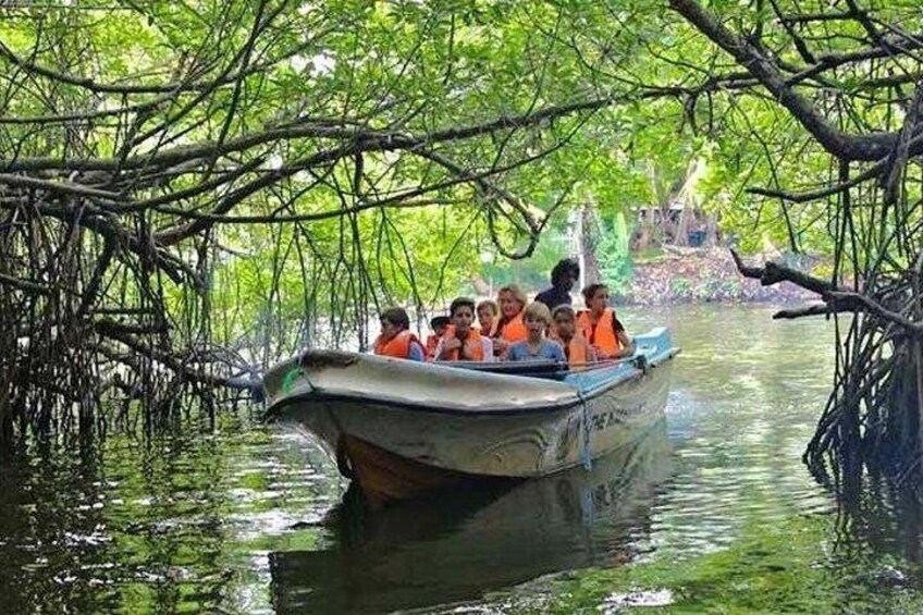 A boat with people wearing life jackets on a mangrove-filled waterway. 4