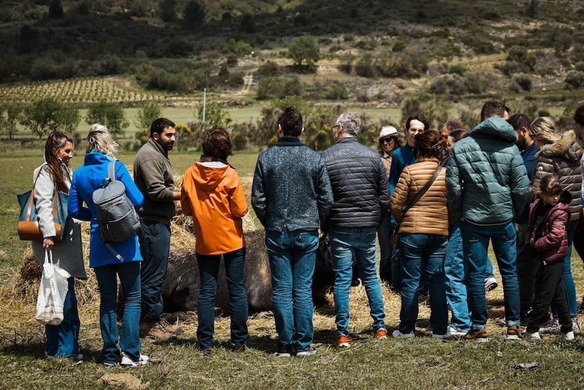 A group of people standing in a field with a hilly landscape in the background. 4