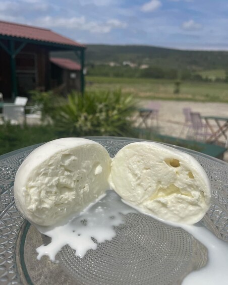 Picture 7 for Activity Carcassonne: Farm visit, cheese demonstration, and tasting 2
