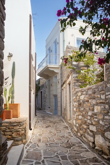 A narrow stone-paved alleyway flanked by buildings with blue shutters and a cactus plant. 3