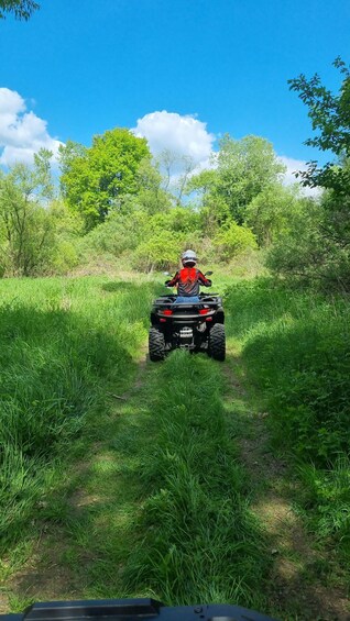 A person riding an ATV on a grassy path surrounded by greenery. 2