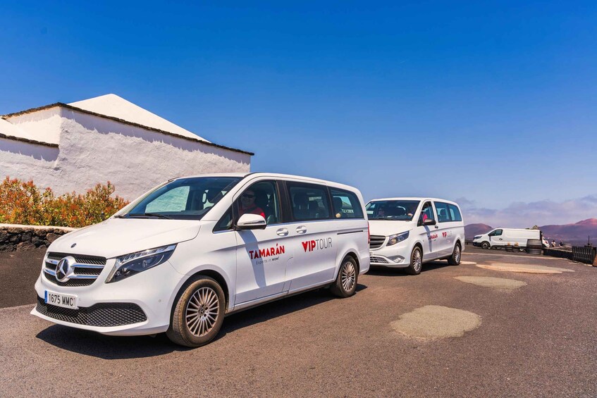 Two white vans with 'TAMARAN VIP TOUR' branding parked on a road with a white building and a clear blue sky in the background. 5