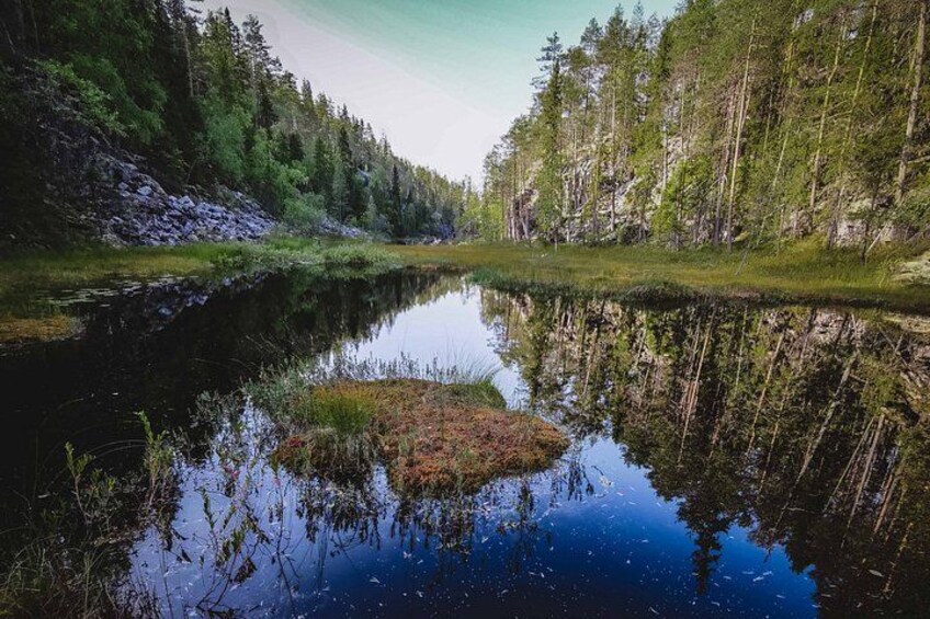 A calm lake surrounded by dense forest. 4