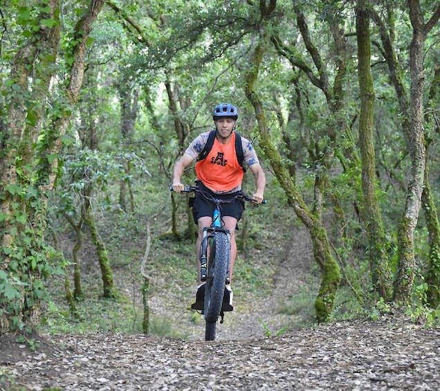 A person riding a mountain bike on a forest trail. 1