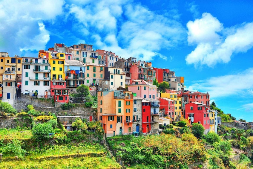 Colorful buildings on a hillside under a blue sky. 2