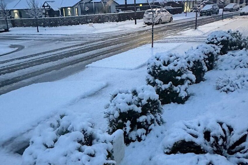 Una carretera nevada con arbustos y un edificio al fondo. 5