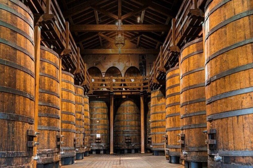 Wine Tasting on the slopes of etna 3
