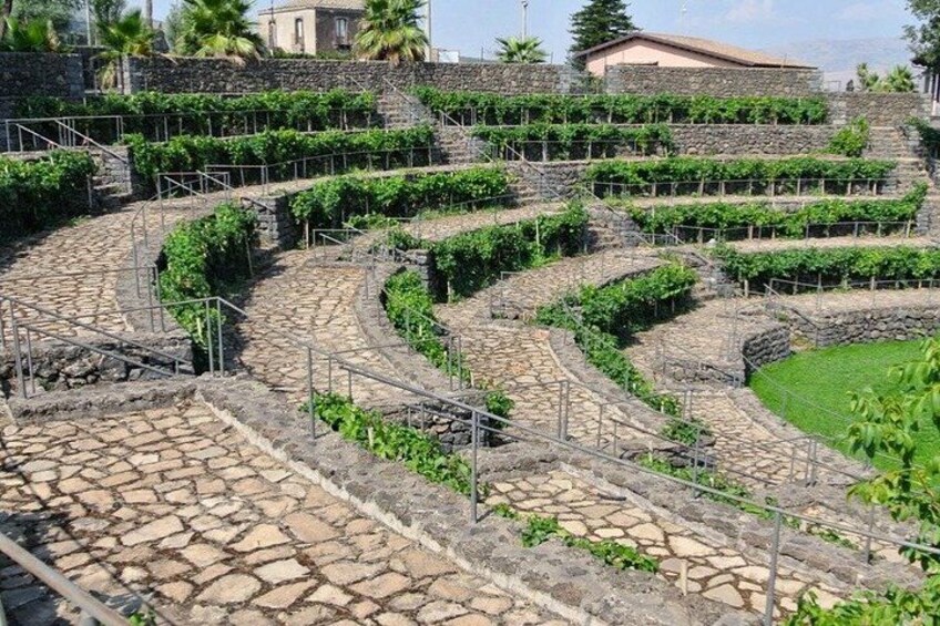 Wine Tasting on the slopes of etna 2