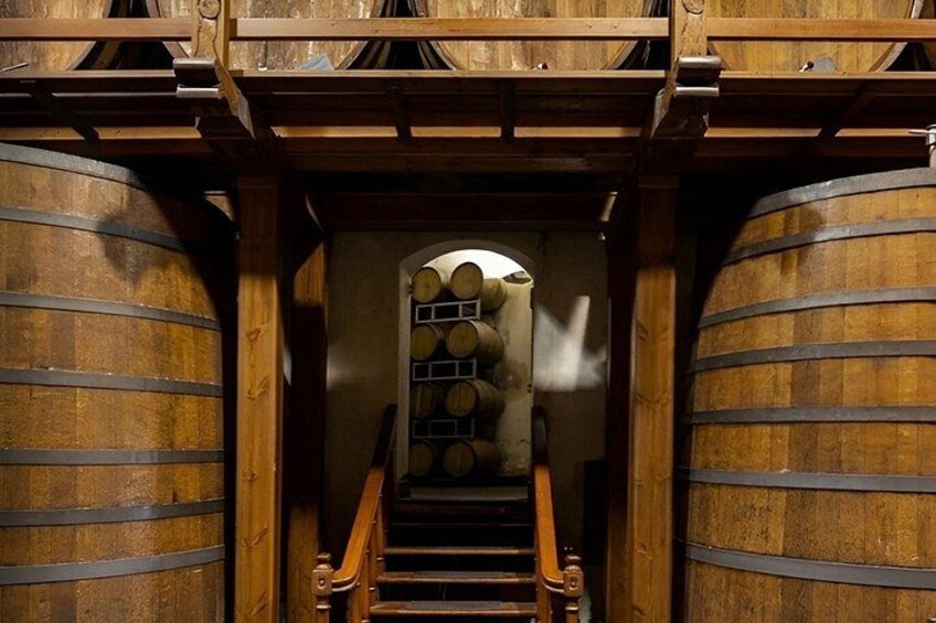 Wine Tasting on the slopes of etna 4