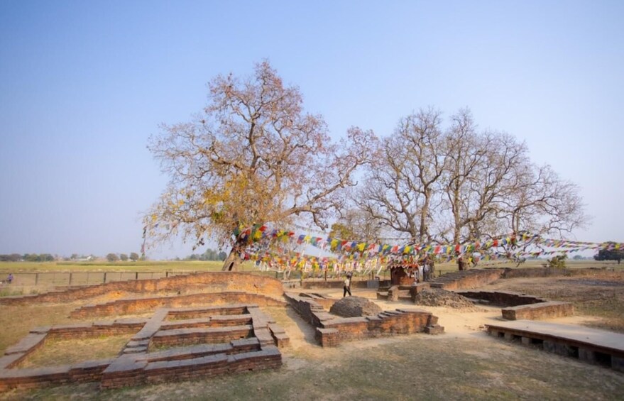 Ancient ruins with brick structures and a tree adorned with colorful prayer flags. 5