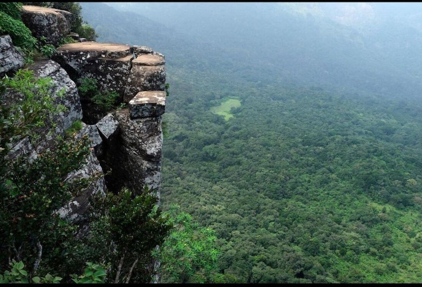 A rocky cliff edge overlooking a dense forest. 4