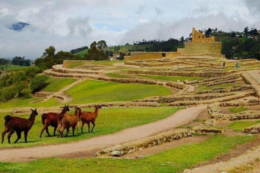 Archaeological Park of Ingapirca 1